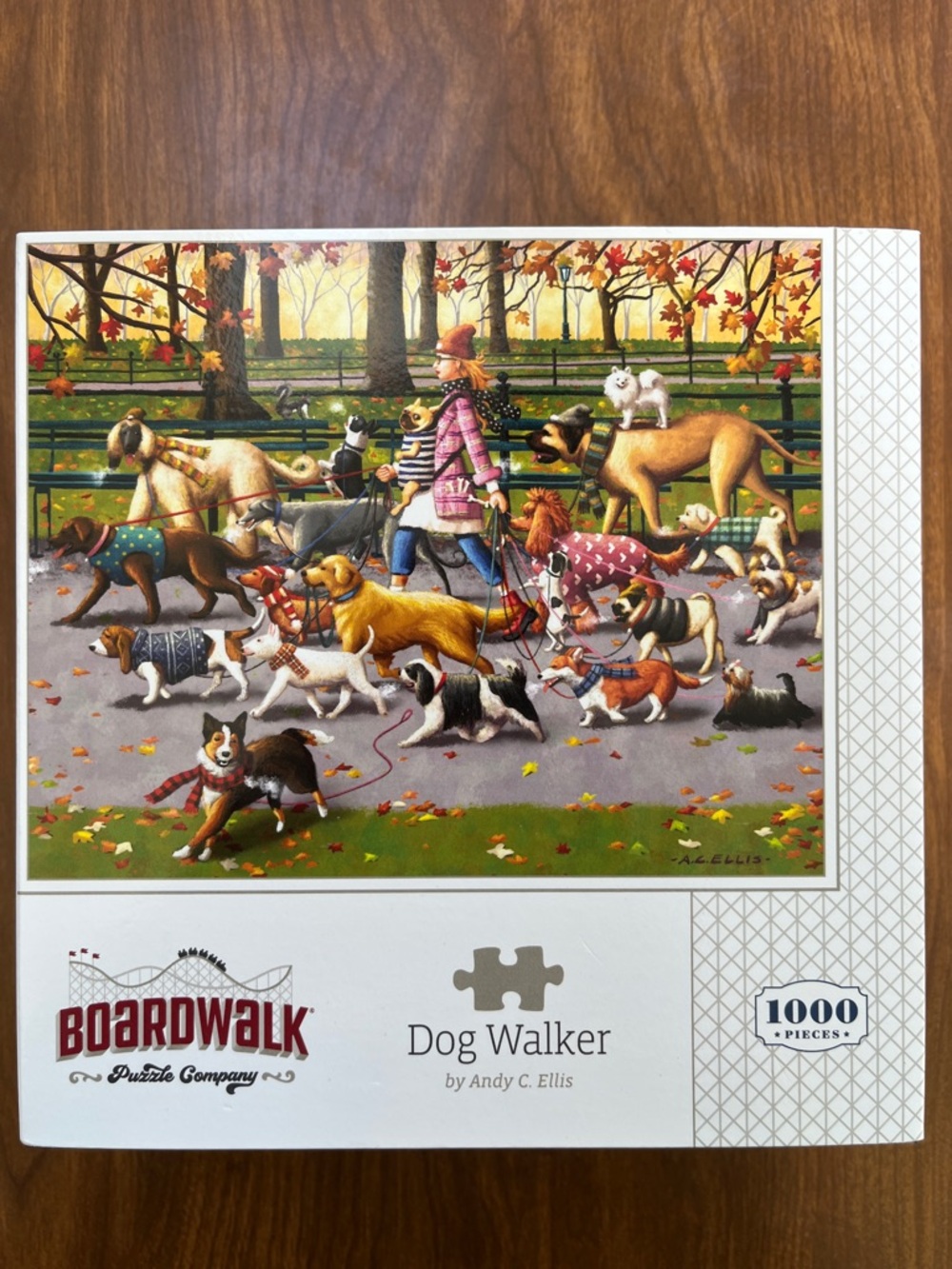 Boardwalk 1000-Piece Puzzle